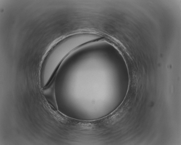 X0000083061168200702161749