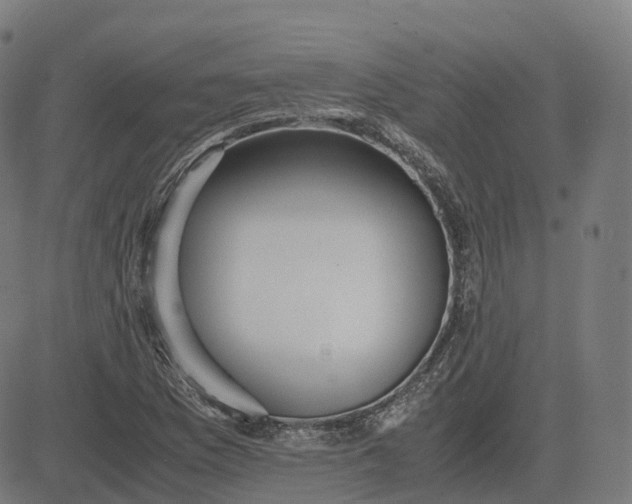 X0000083061169200702161749