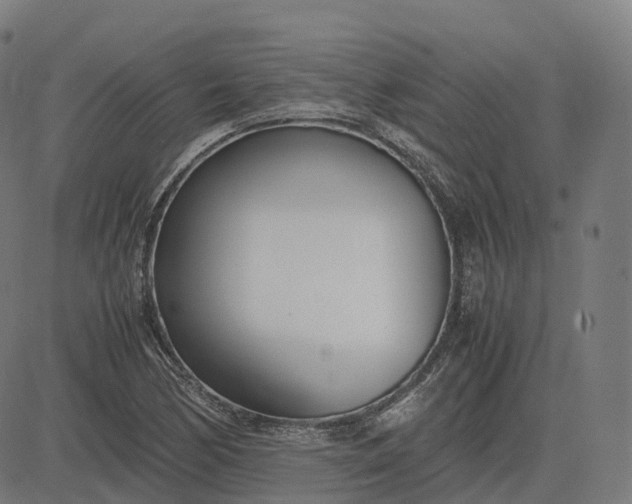 X0000083061170200702161749