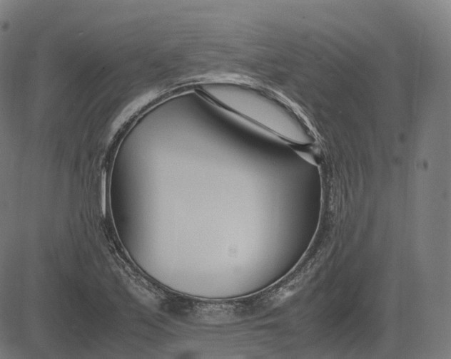 X0000083061171200702161749