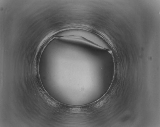 X0000083061172200702161749