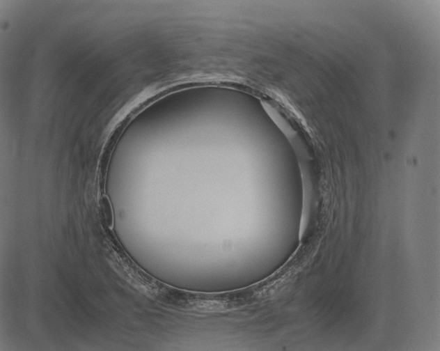 X0000083061173200702161749