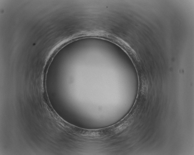 X0000083061174200702161749