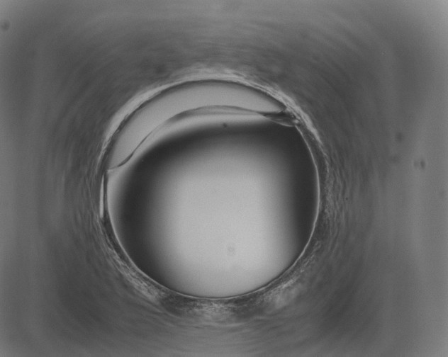 X0000083061175200702161749