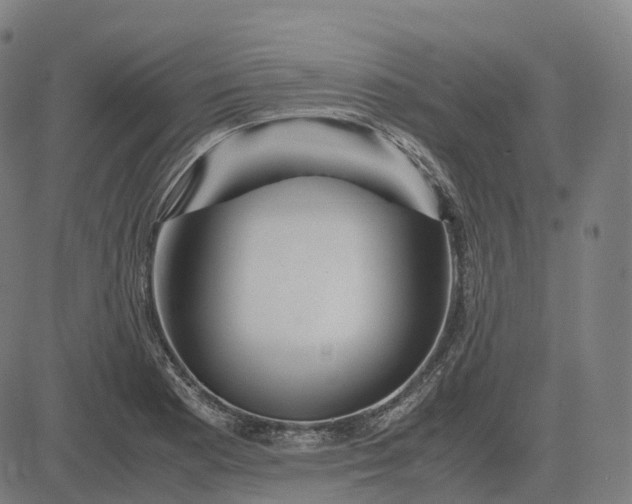 X0000083061177200702161749