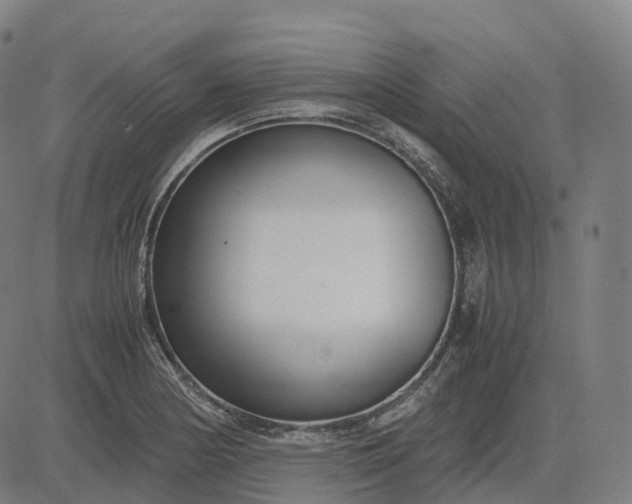 X0000083061178200702161749