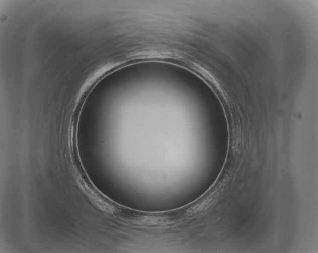 X0000083061179200702161749