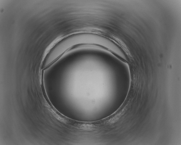 X0000083061180200702161749