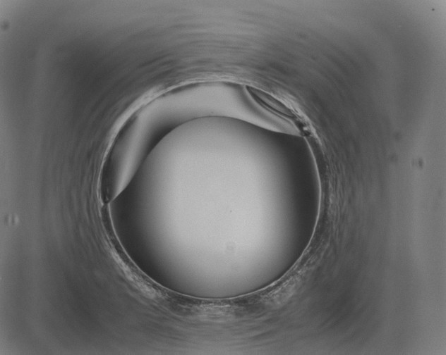 X0000083061181200702161749