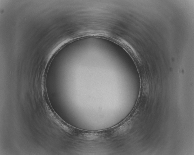 X0000083061182200702161749