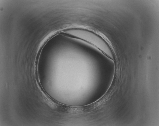 X0000083061183200702161749