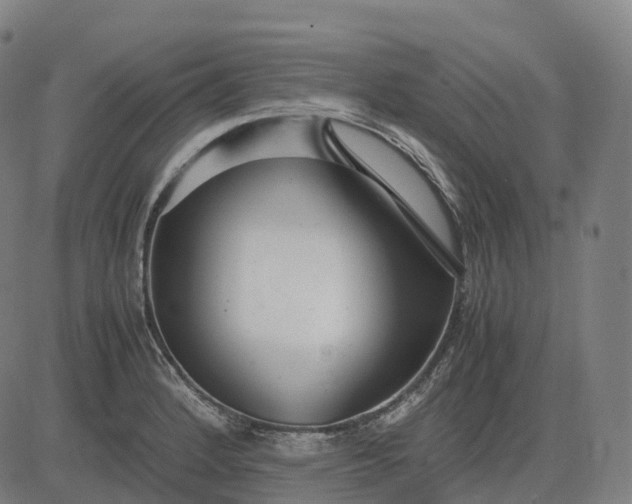 X0000083061184200702161749