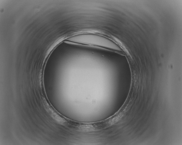 X0000083061186200702161749