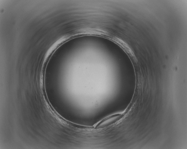 X0000083061188200702161749