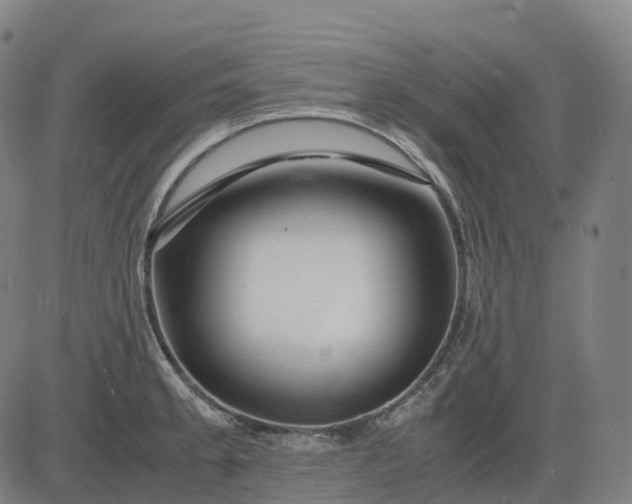 X0000083061189200702161749