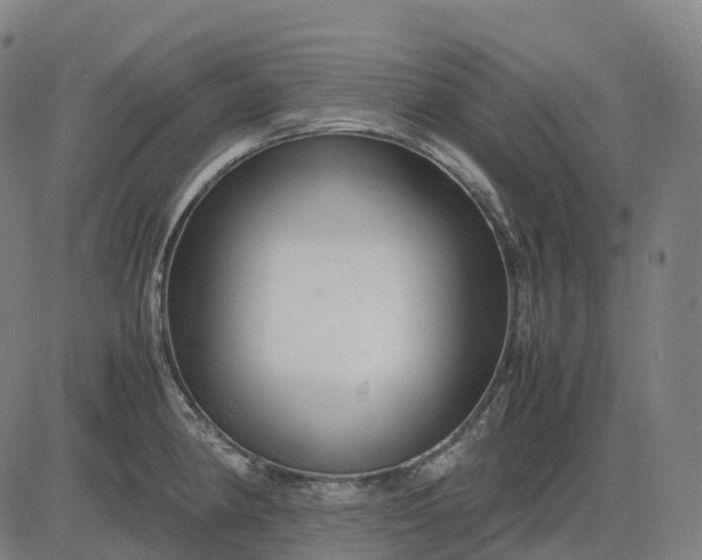 X0000083061190200702161749