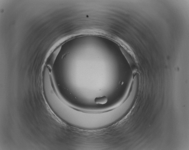 X0000083061192200702161749