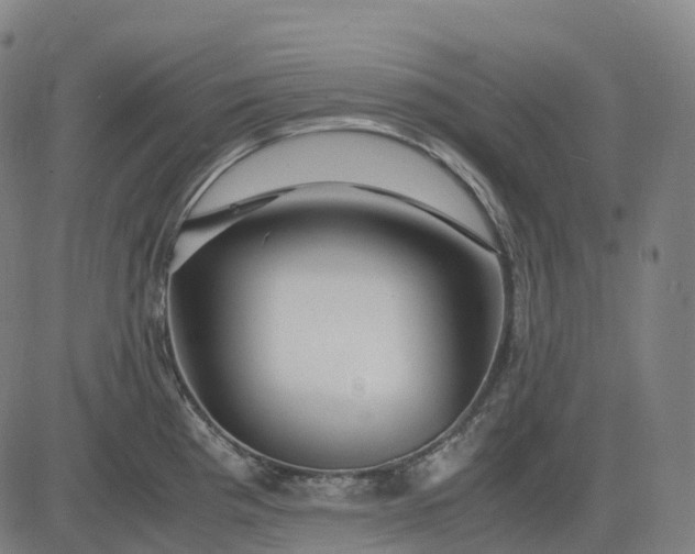 X0000083061193200702161749