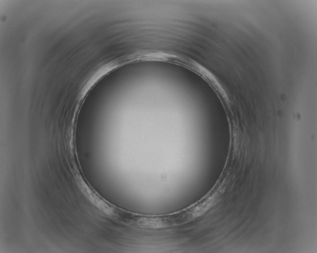 X0000083061194200702161749