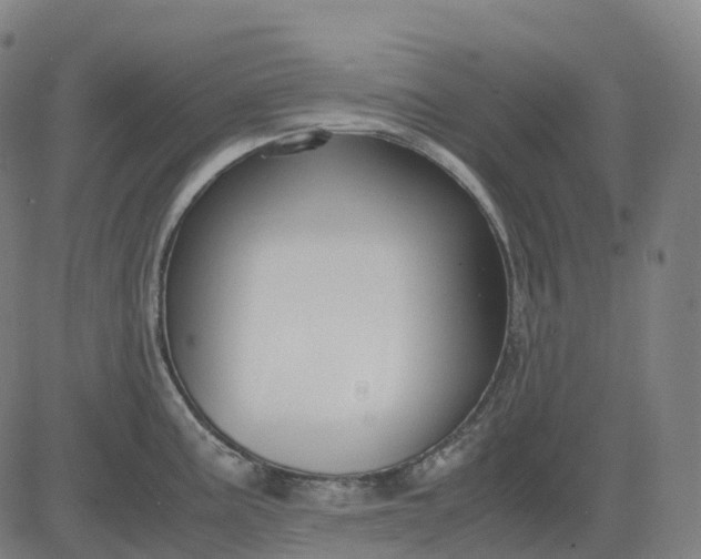 X0000083061195200702161749