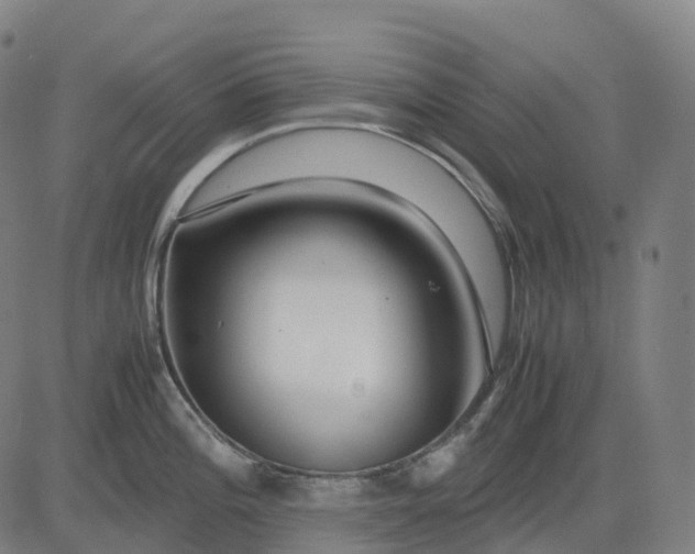 X0000083061196200702161749