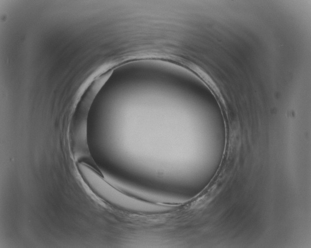 X0000083061197200702161749