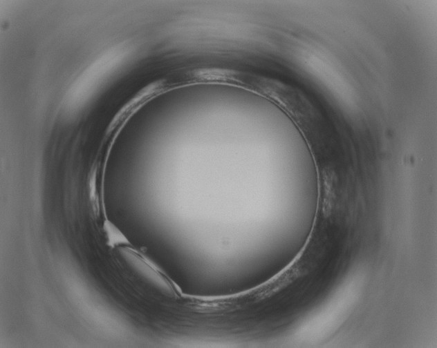 X0000083061198200702161749