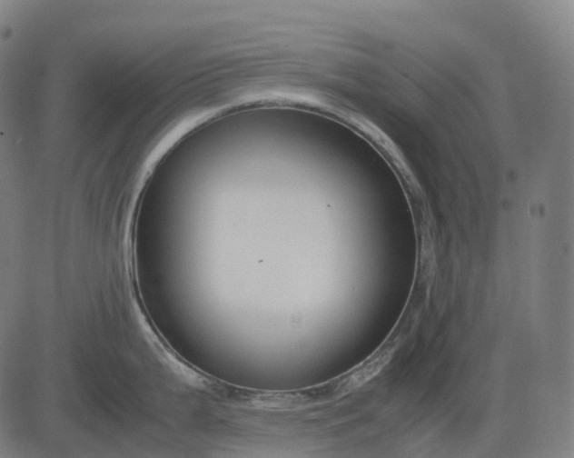 X0000083061199200702161749