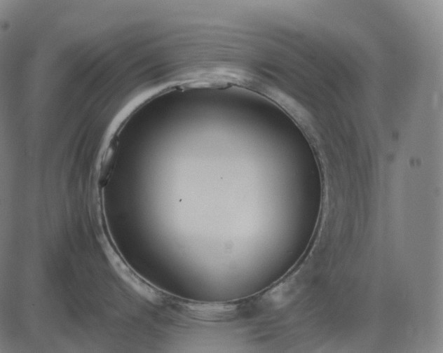 X0000083061200200702161749