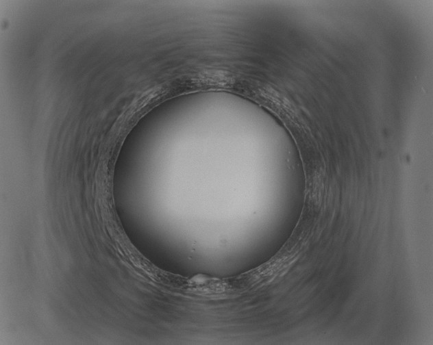 X0000083061201200702161748