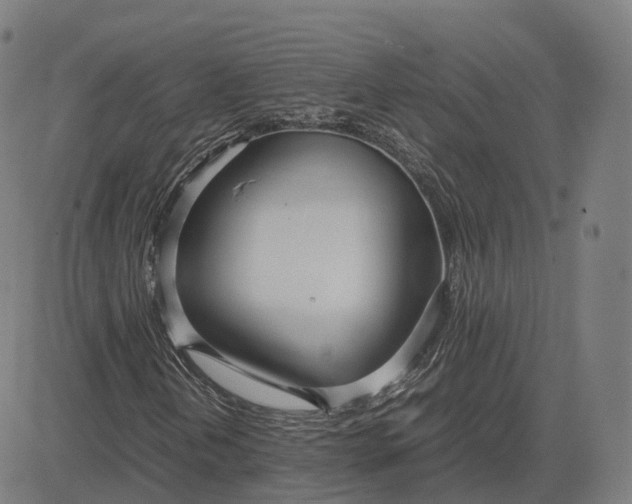 X0000083061202200702161748