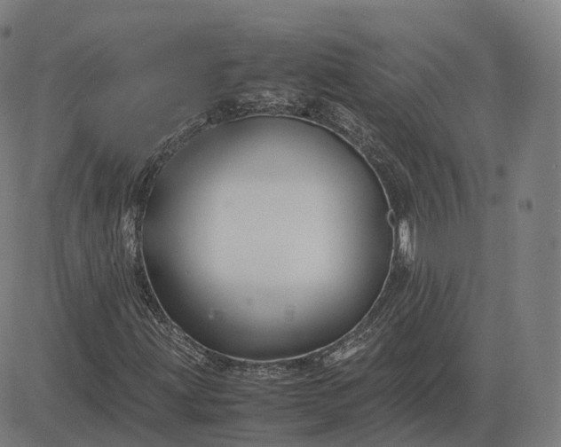 X0000083061203200702161748