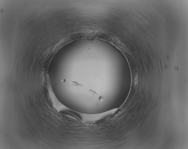 X0000083061204200702161748