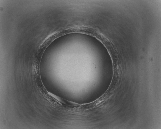 X0000083061206200702161748