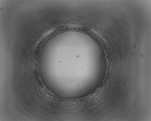 X0000083061207200702161748