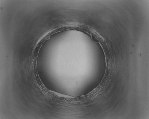 X0000083061208200702161748