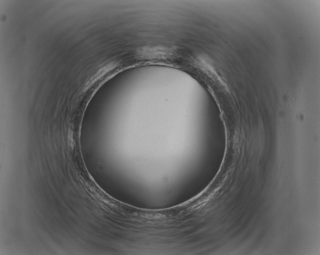 X0000083061209200702161748