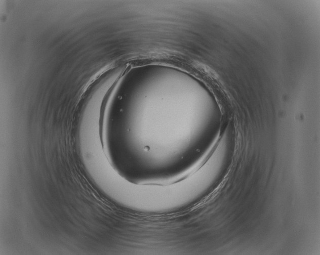 X0000083061210200702161748