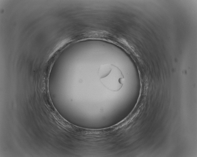 X0000083061211200702161748