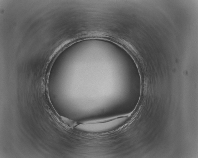 X0000083061212200702161748