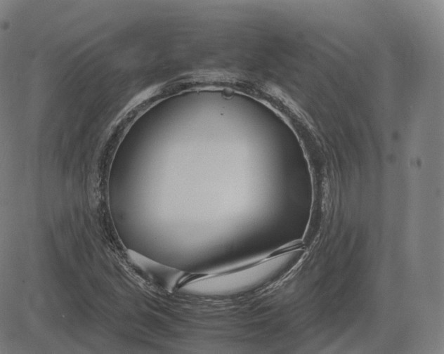 X0000083061213200702161748