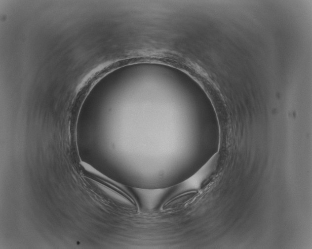 X0000083061214200702161748