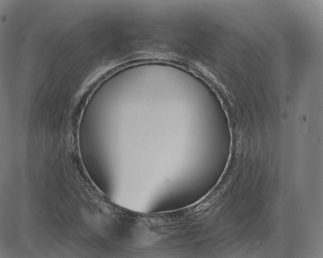 X0000083061215200702161748