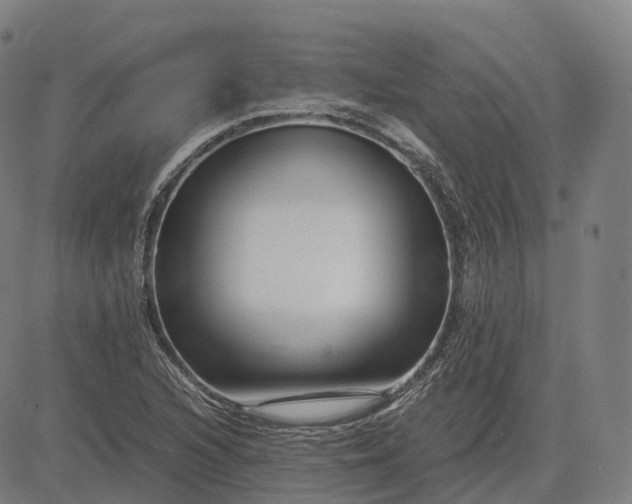 X0000083061216200702161748