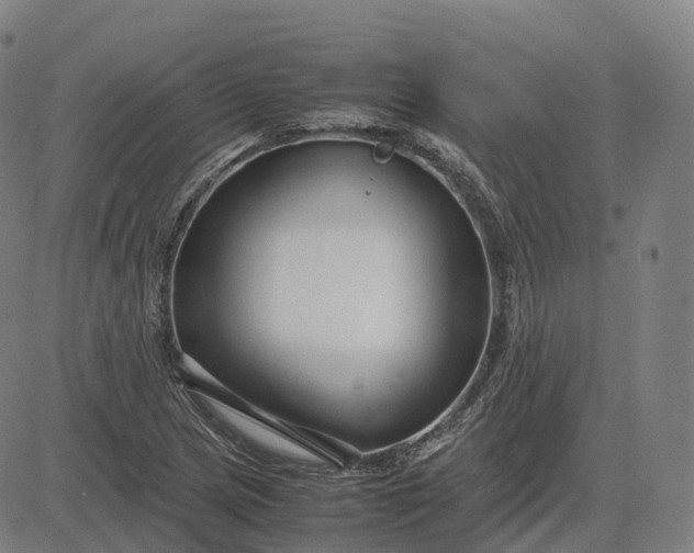 X0000083061217200702161748