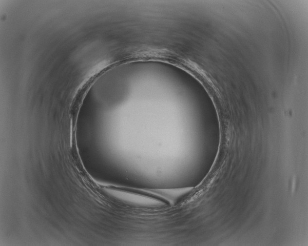 X0000083061219200702161748