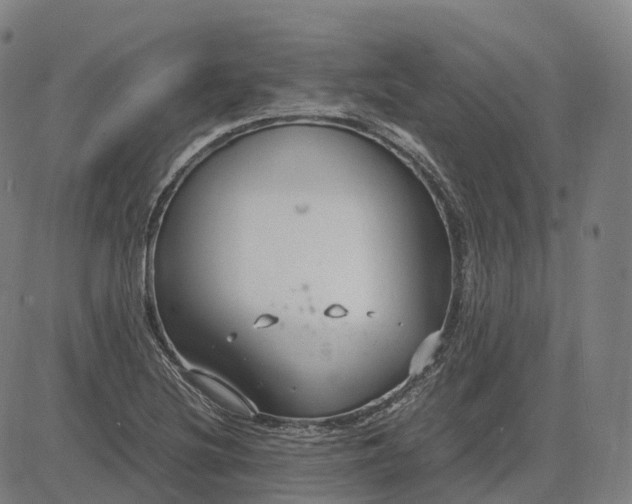 X0000083061220200702161748