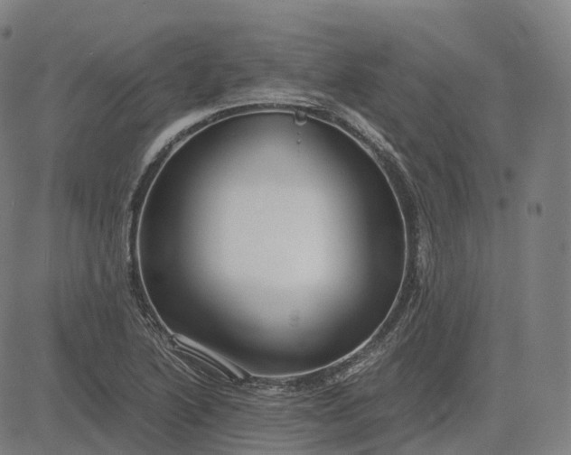 X0000083061222200702161748