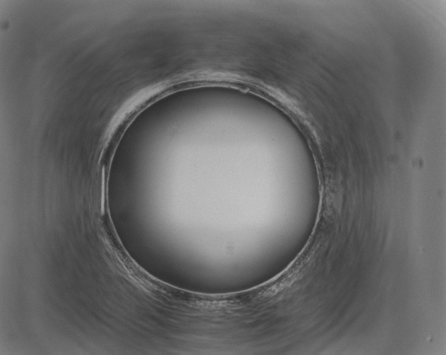 X0000083061223200702161748