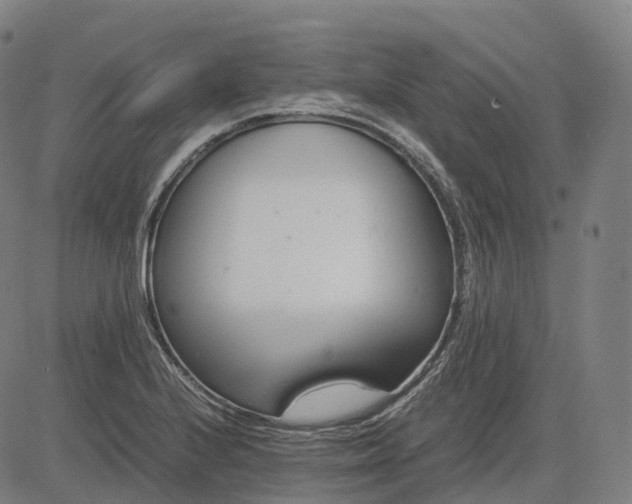 X0000083061224200702161748